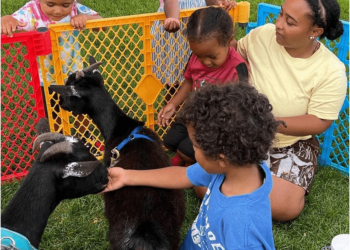 Celeste Syas brings her goats to Shinnecock Preschool children.